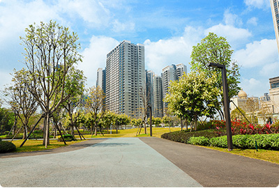 廣東惠州市仲恺高新(xīn)區(qū)惠環街(jiē)道南片區(qū)道路綠化養護管理(lǐ)服務(wù)項目