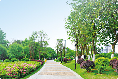廣東東莞市橋頭鎮中(zhōng)心區(qū)環衛清掃保潔及綠化養護項目